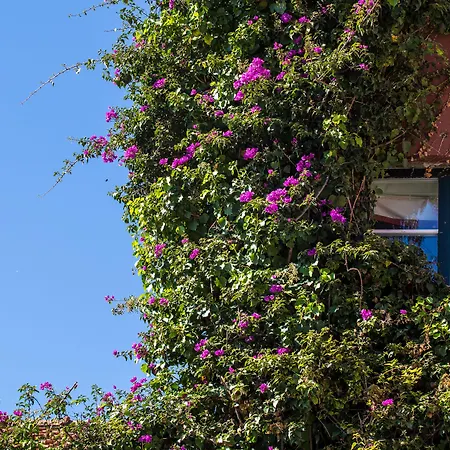 York House Hotell 4*