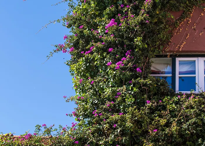 York House 酒店 4*