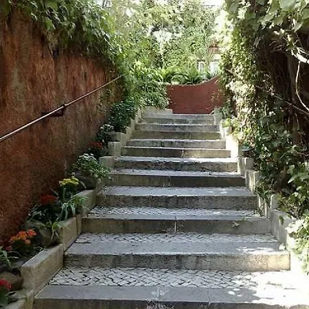 Отель York House 4*